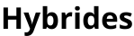 hybride